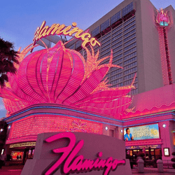 Un joueur décroché le jackpot progressif sur le jeu utimate texas hold'em au Flamingo casino de Las Vegas